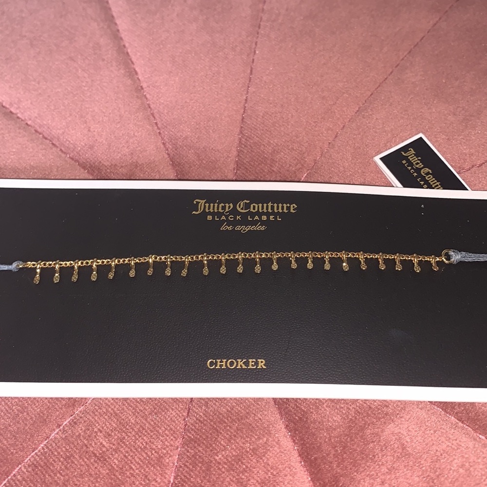 Juicy Couture Black Label Gold Cord and Fancy Chain Choker